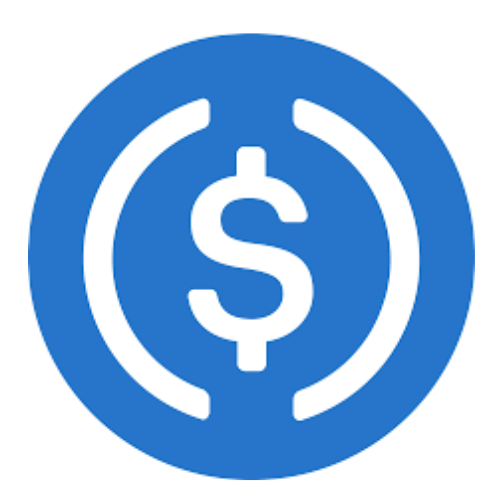 Virtual Accounts 10 Blue and White Circle Surfing Club Logo 4